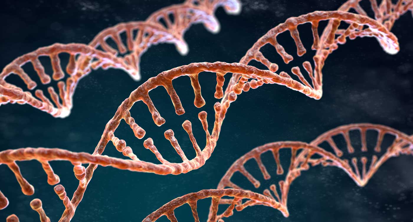 5 Myths About AncestryDNA® Tests